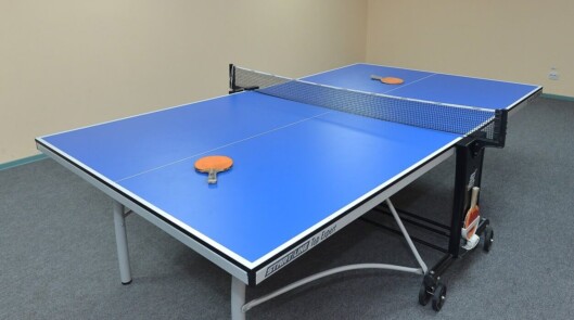 Настольный теннис
